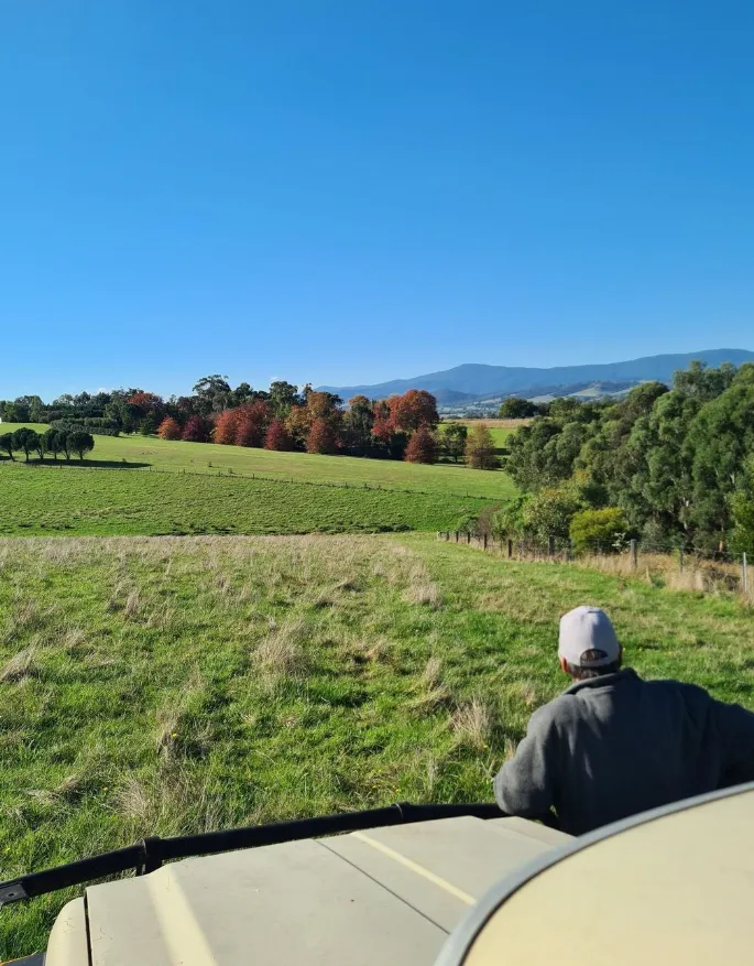 Camping Yarra Valley