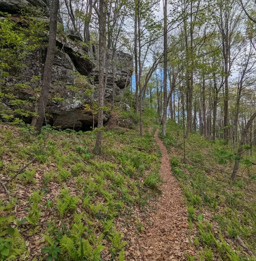 Cumberland Walks