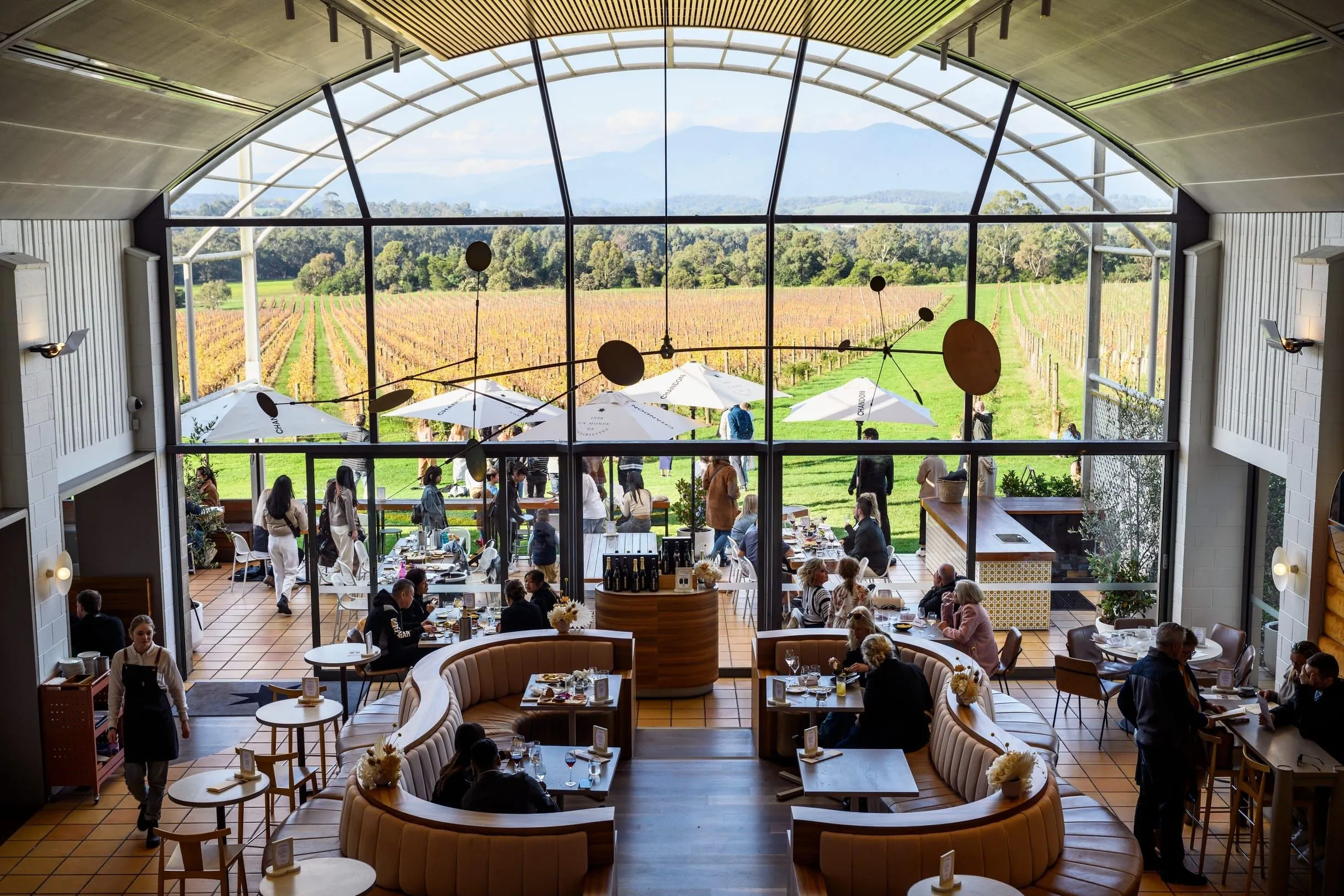 Jayden Ong Winery & Cellar Bar