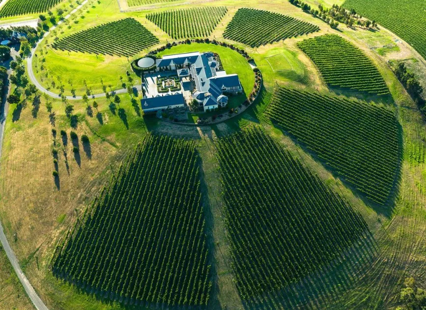Levantine Hill​