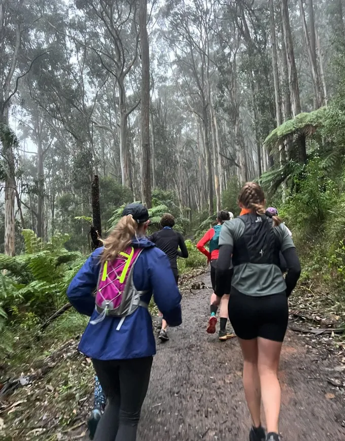 Olinda and Grey Gums Track