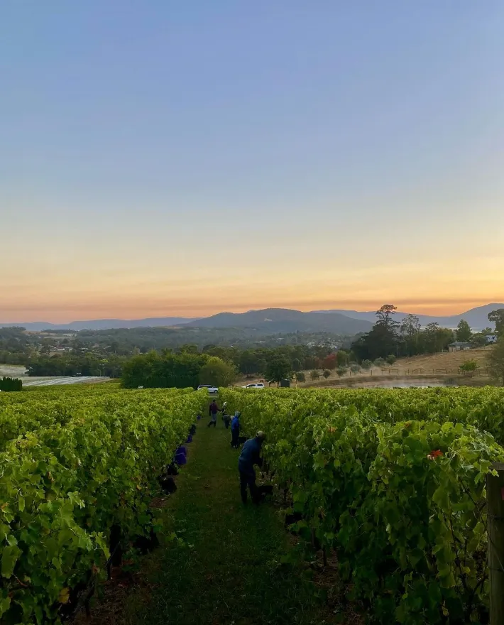 Payne's Rise Winery