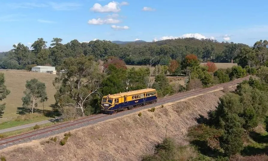 Powelltown Tramway Trail