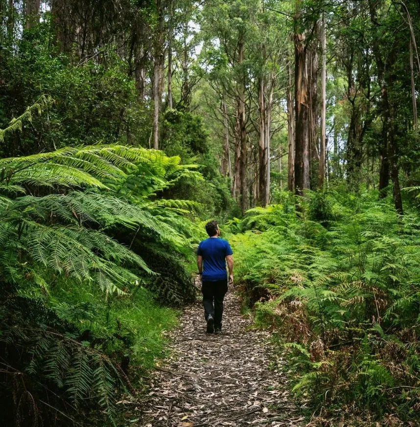 Strolling and hiking energetically