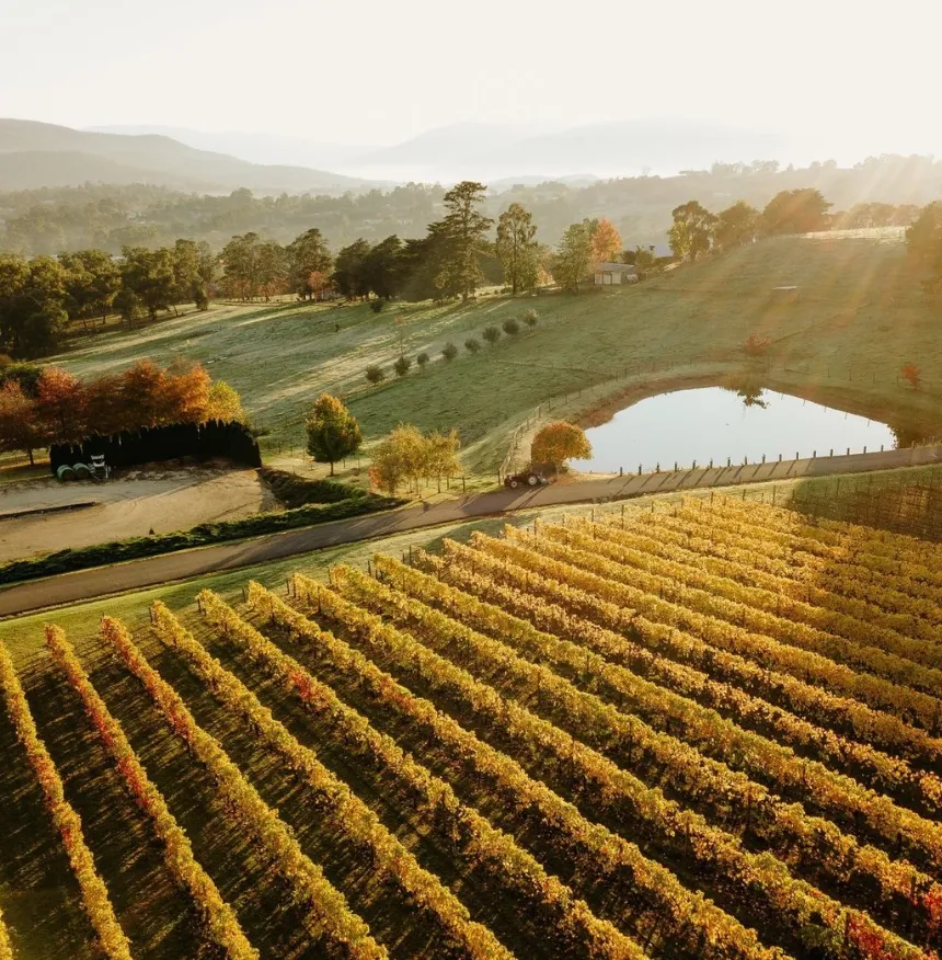 Things to do in Yarra Valley