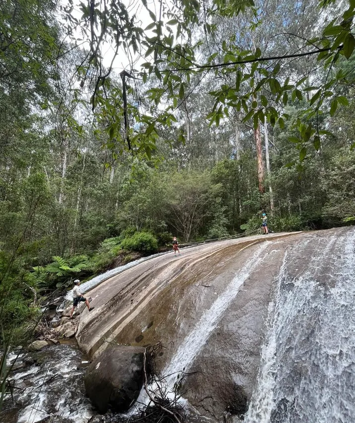 Warburton River Walk