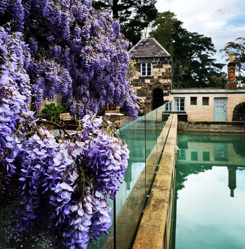 Yarra Valley Gardens