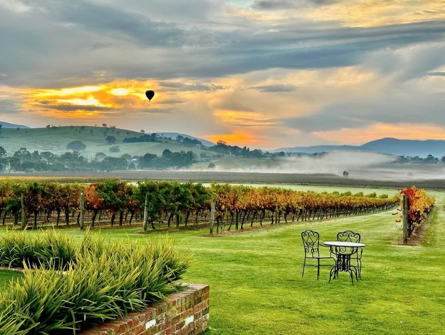 Yarra Valley Wineries