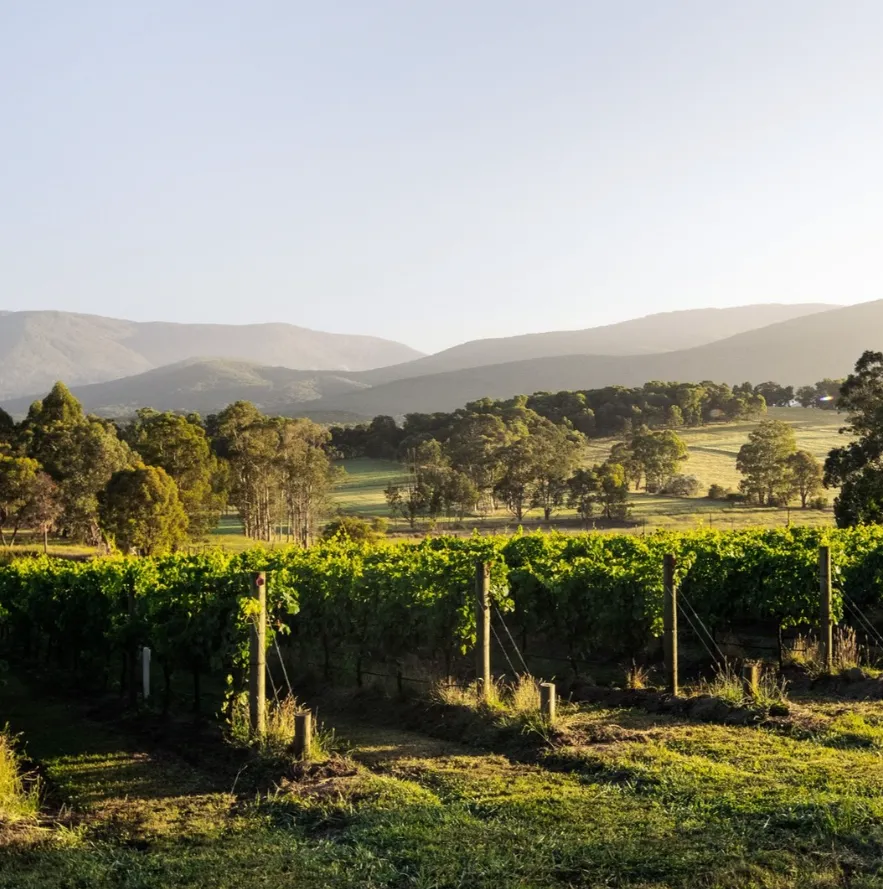 Yarra Valley mountain range