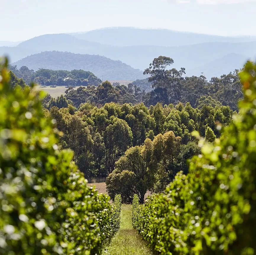 Yarra Valley romantic getaway