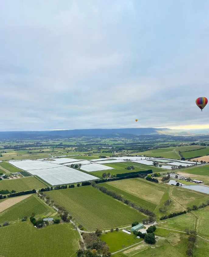 Yarra Valley walks