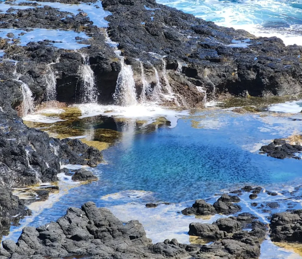 Phillip Island Penguin Tour