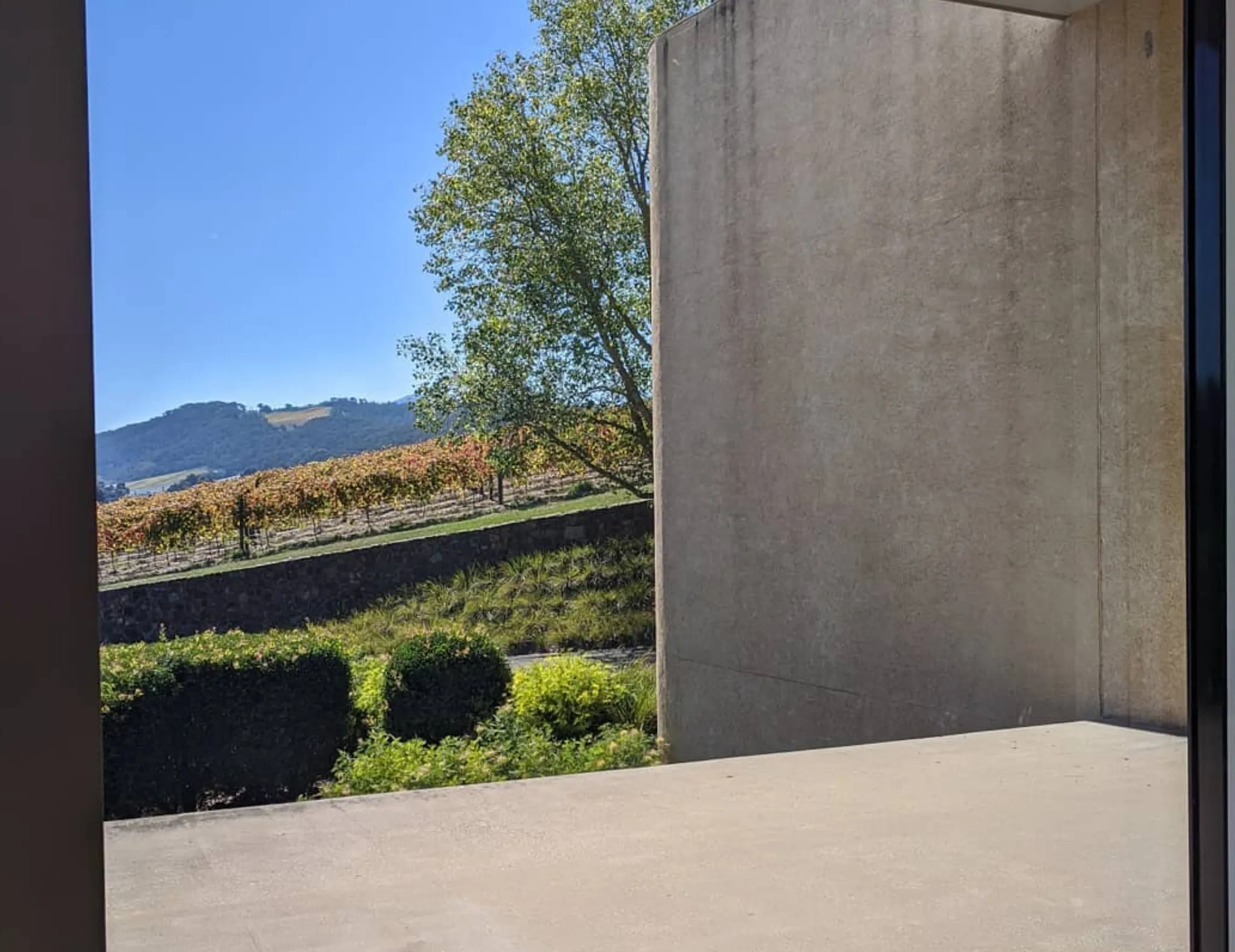 tarrawarra museum membership