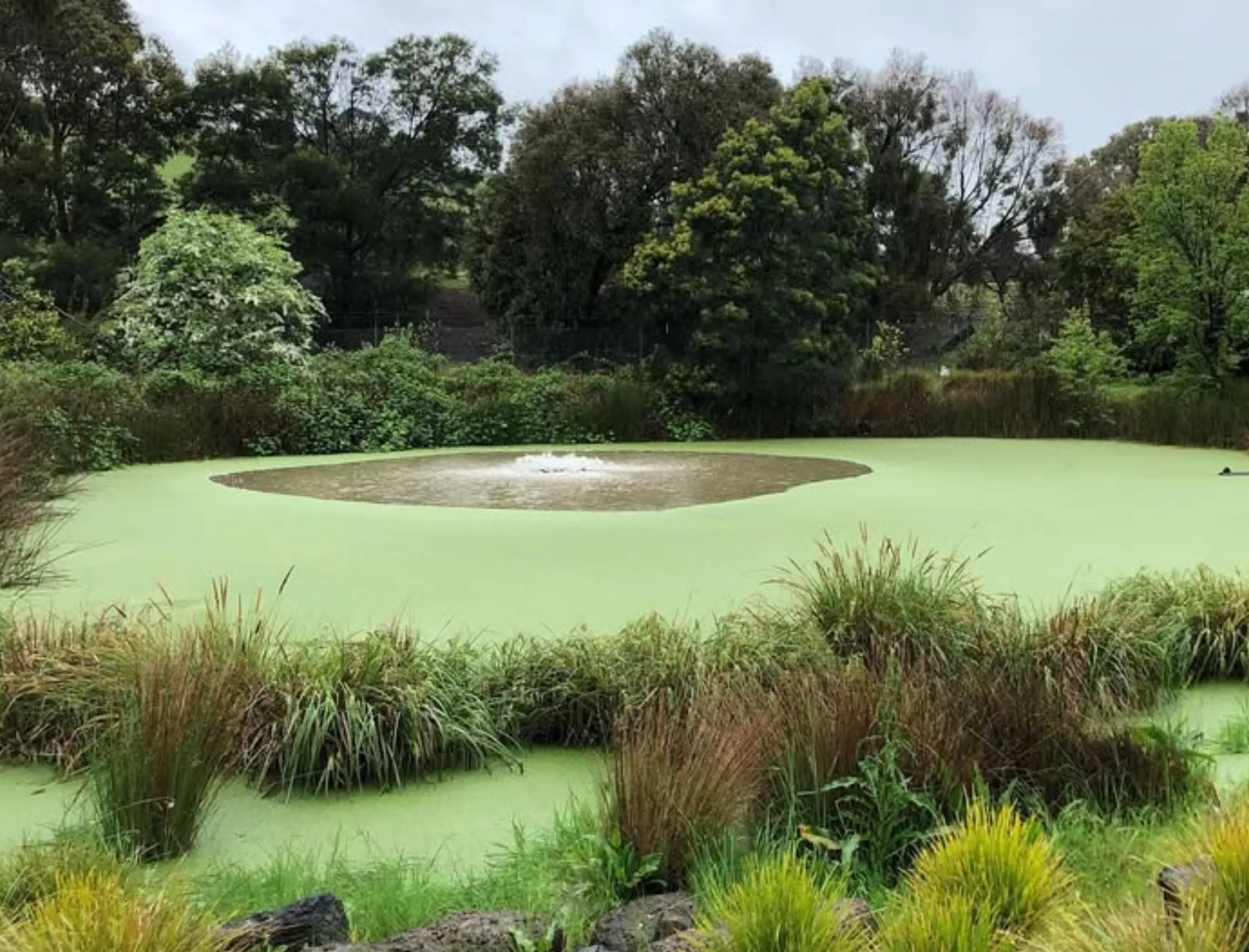 balgownie estate events