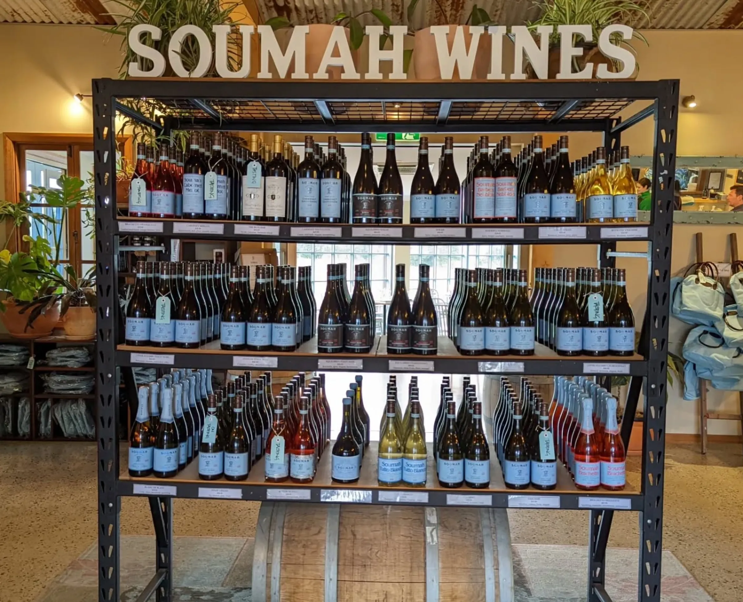 jayden ong orange wine skin contact