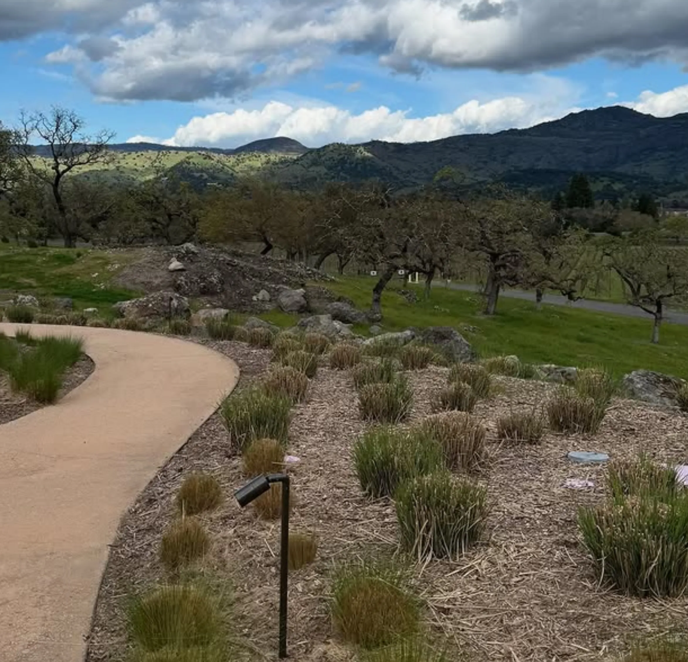 domaine chandon cellar door