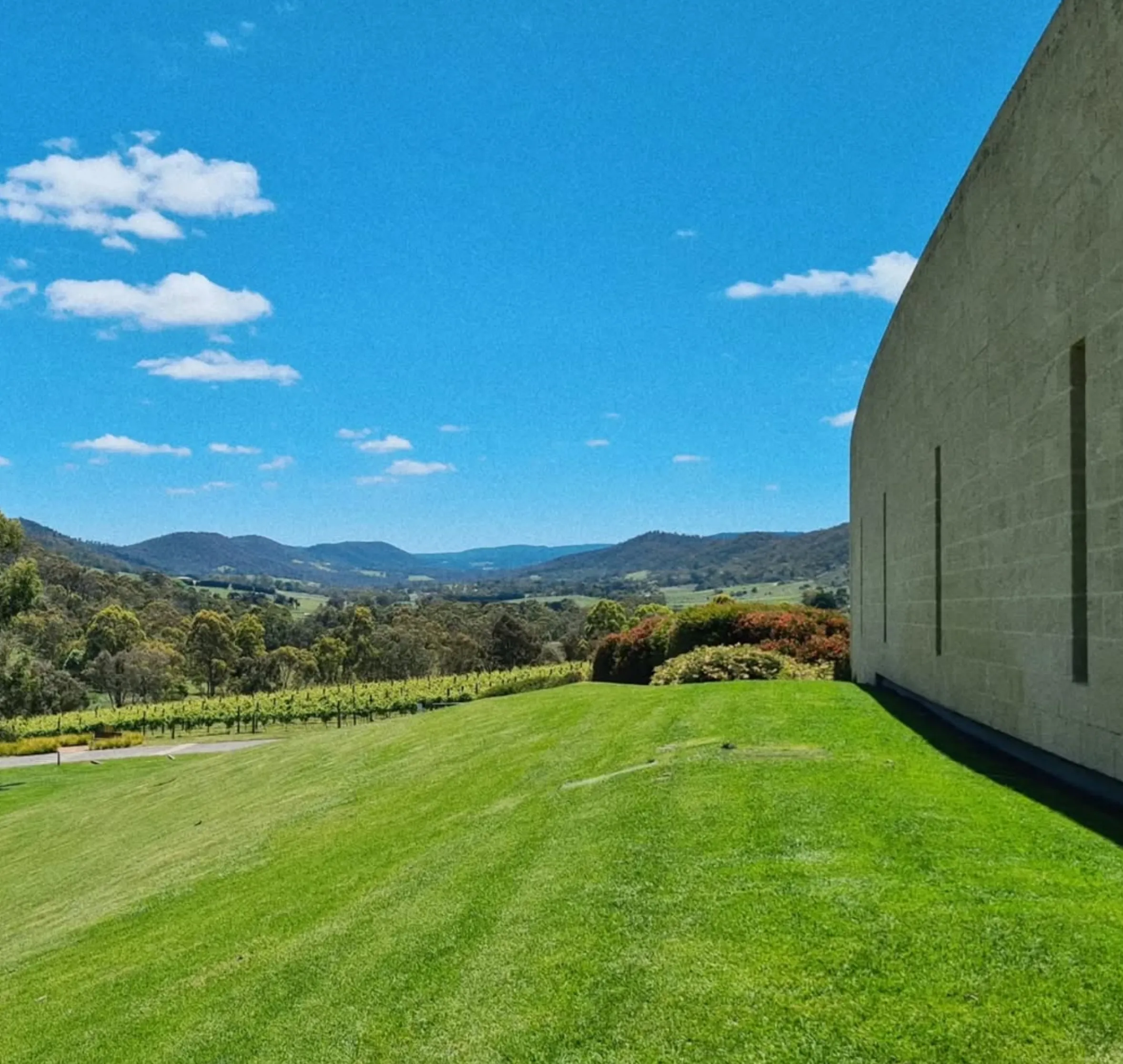 tarrawarra architecture powell & glenn