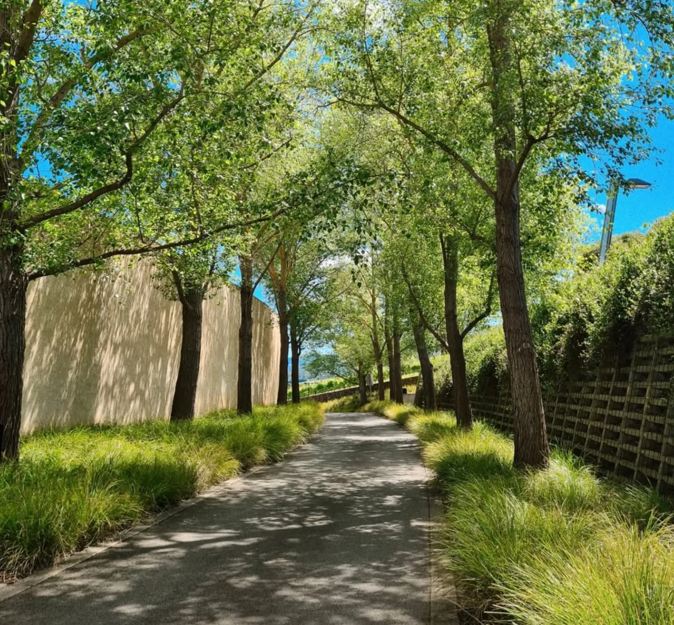 tarrawarra exhibitions 2025