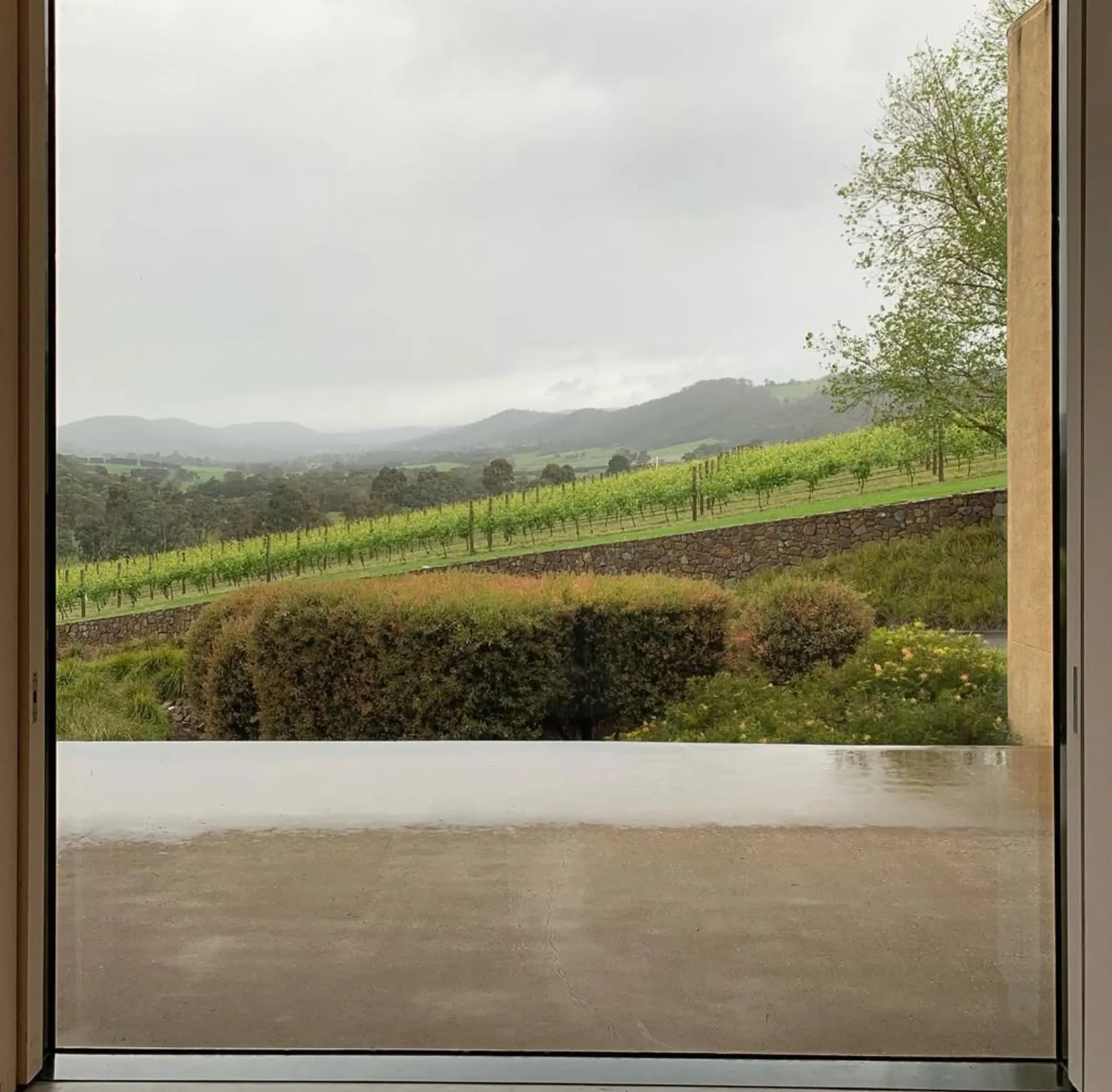 tarrawarra gallery healesville