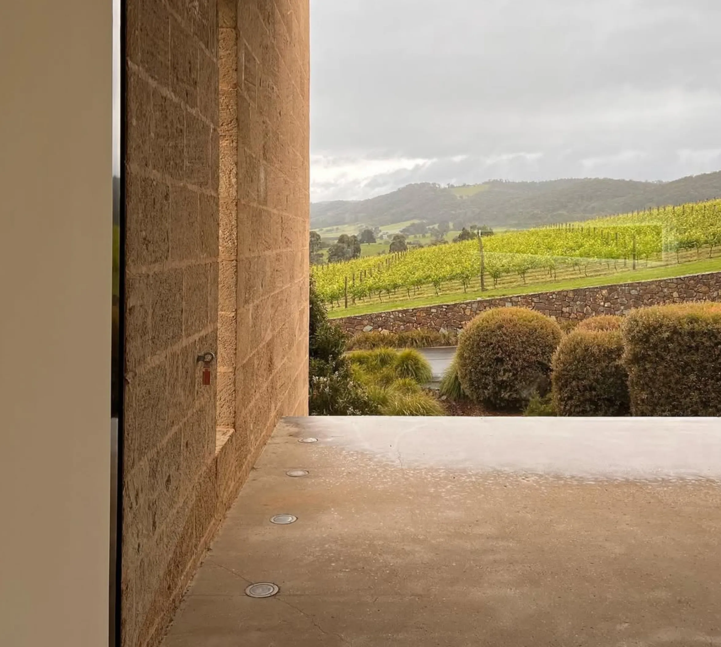 tarrawarra museum yarra valley