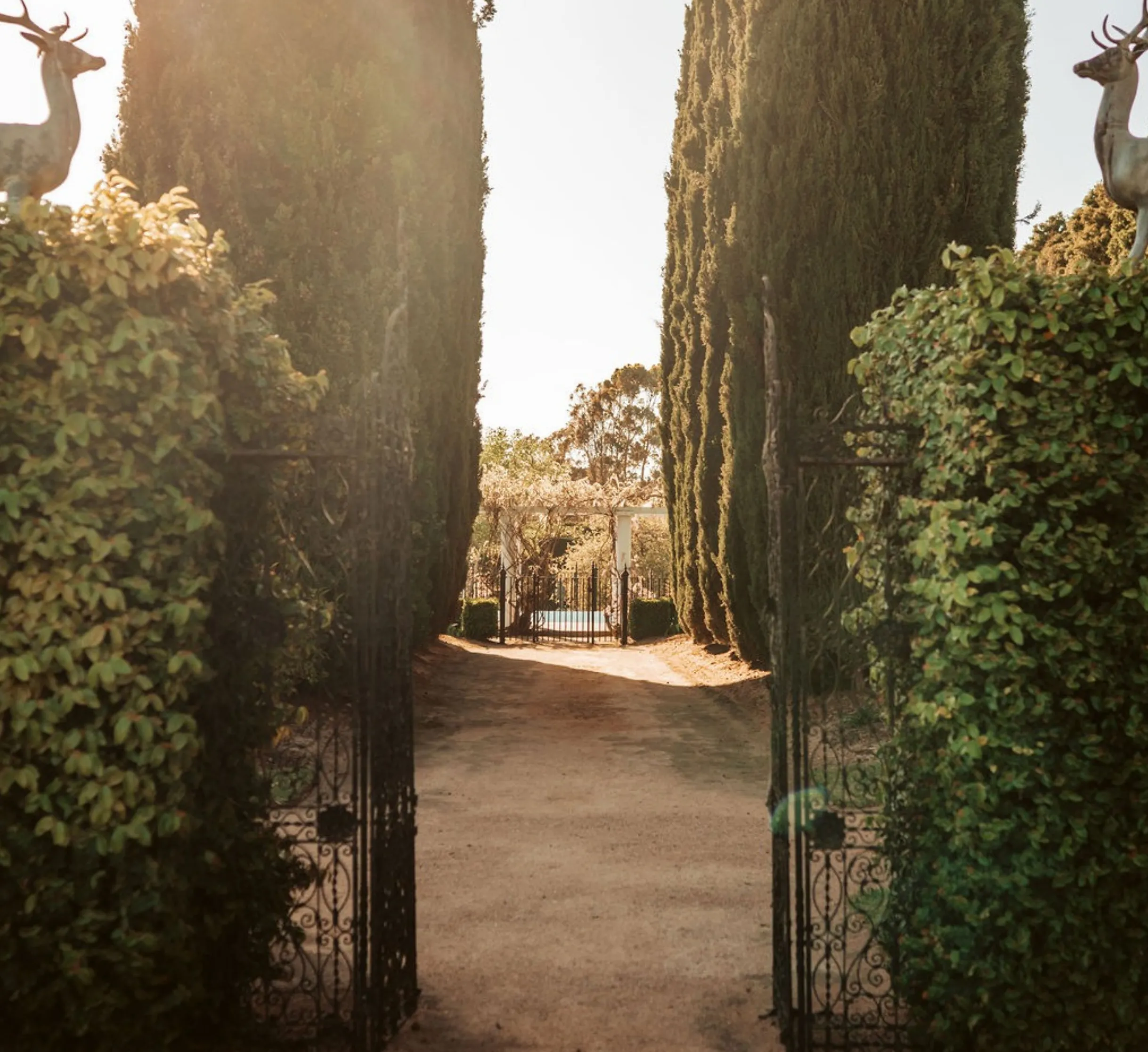 coombe high tea booking