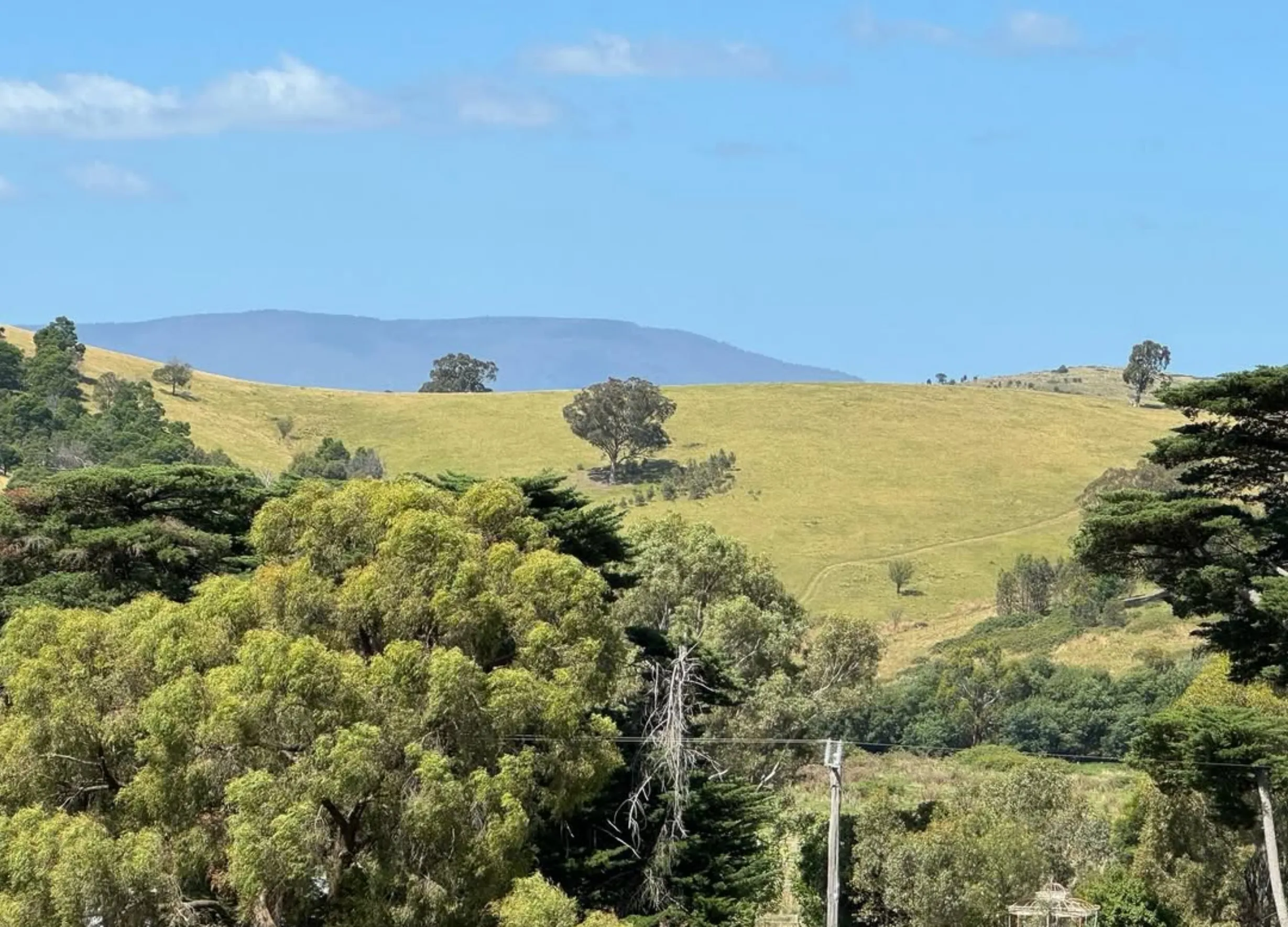 yileena park pinot noir