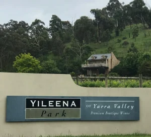 Yileena Park