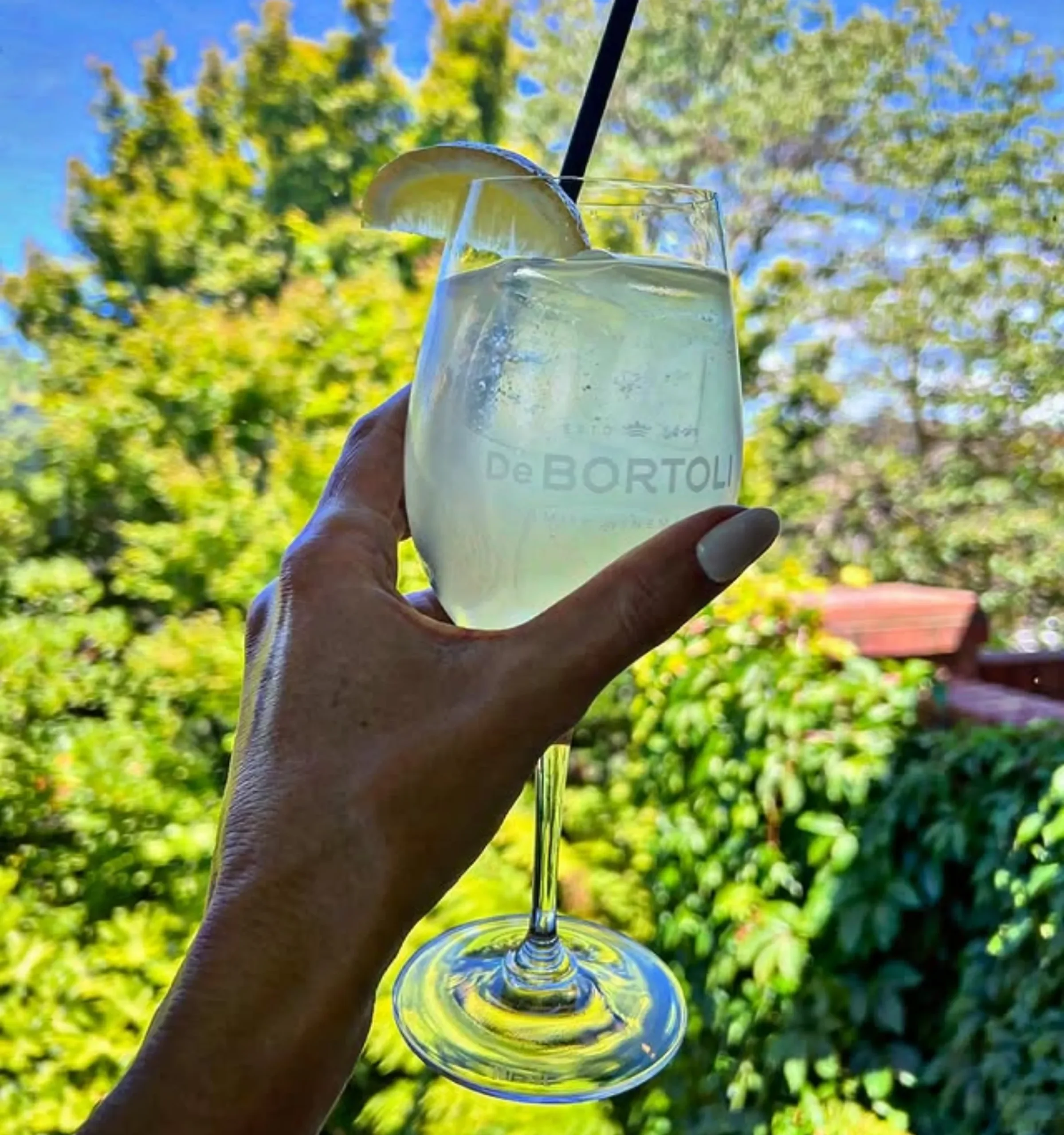 de bortoli cellar door dixons creek