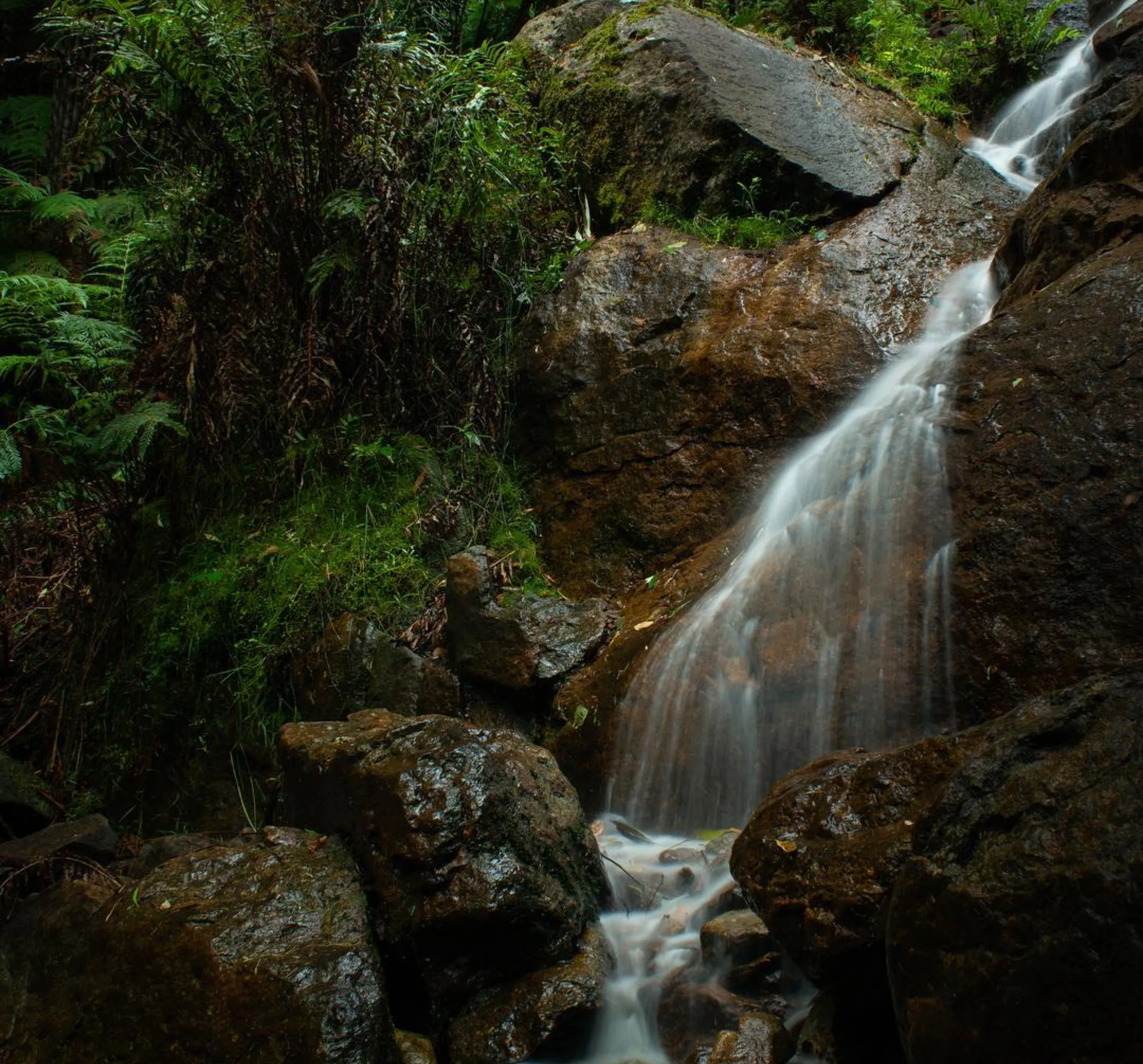 Yarra Ranges waterfall walk