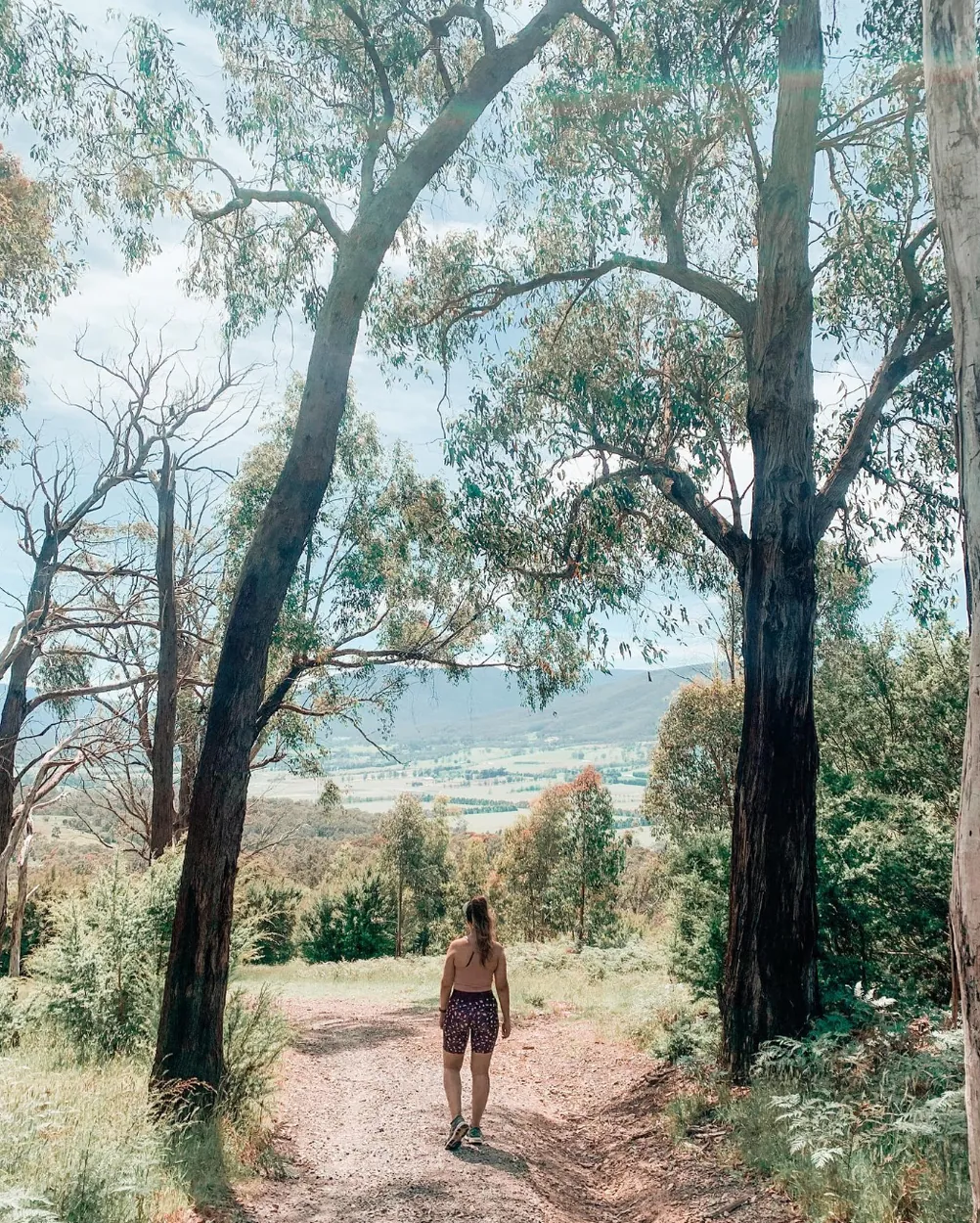 Nature Conservation Reserve