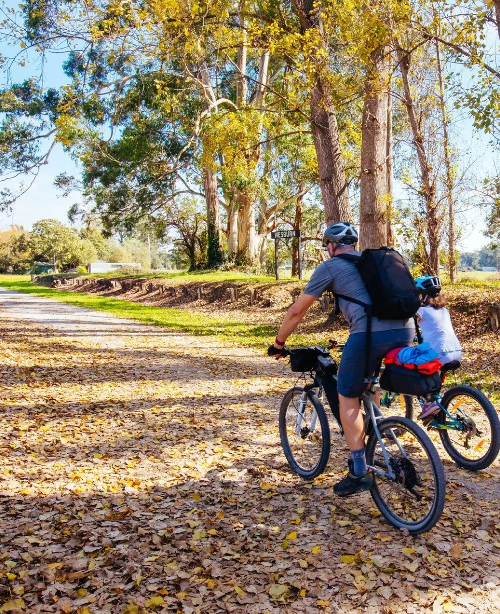 Wellness in Everyday Escapes