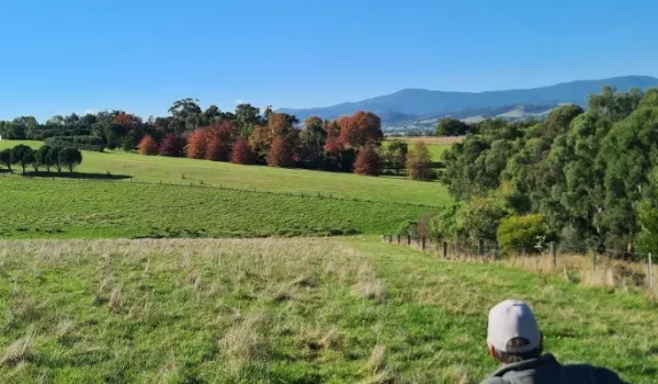 Camping Yarra Valley