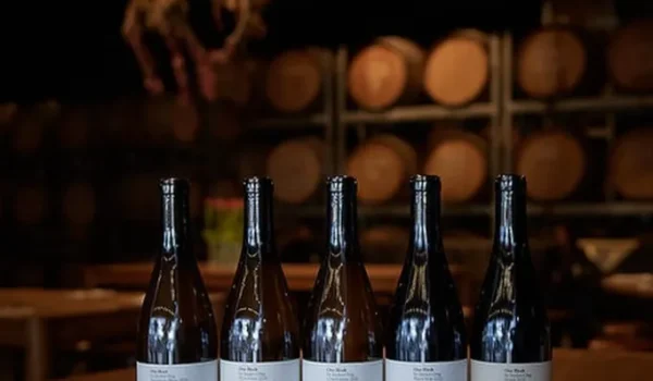 Jayden Ong Winery & Cellar Bar