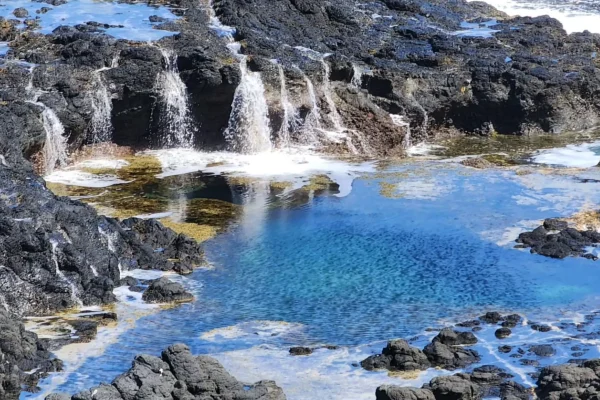 Phillip Island Penguin Tour