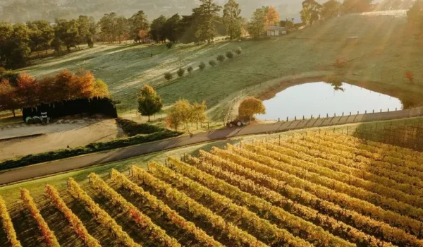 Things to do in Yarra Valley