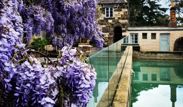 Yarra Valley Gardens