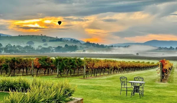 Yarra Valley Wineries