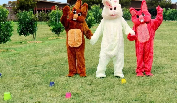 Things to do with kids in Yarra Valley