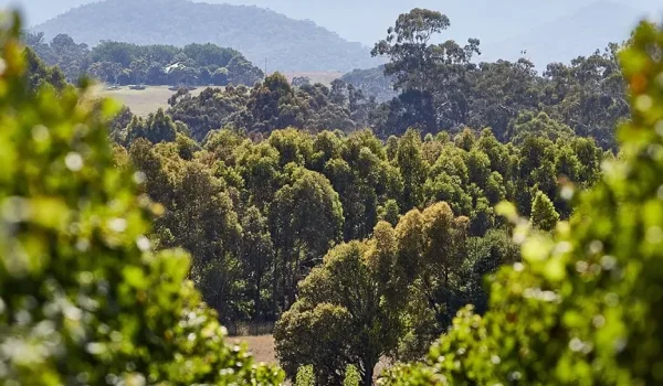 Yarra Valley romantic getaway