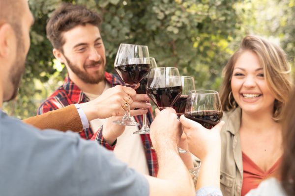 Glad friends clinking glasses